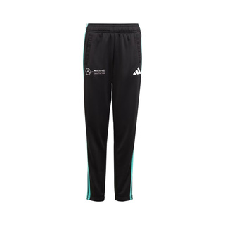 Mercedes AMG F1 Kids DNA Logo Trousers