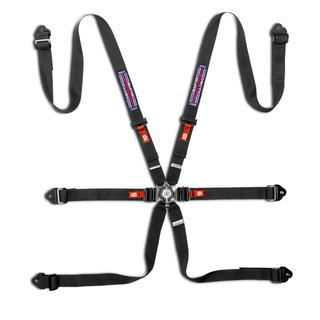 Sparco Competition H-2PD Martini Racing 6-Point Harness Black (FIA)