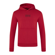 2026 Red Bull Racing F1 Graphic Bull Hoodie Red