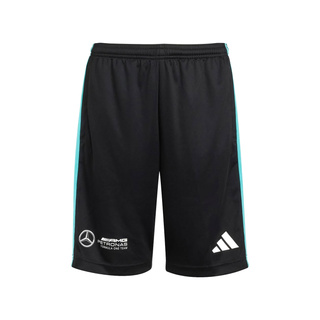 Pantalones cortos infantil Mercedes AMG F1 DNA Logo