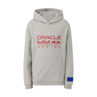 Sudadera infantil Red Bull Racing F1 Relaxed 2026 gris