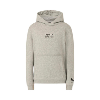 Sudadera infantil Red Bull Racing F1 Graphic Bull 2026 gris