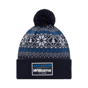 Gorro Williams F1 Essentials 2026