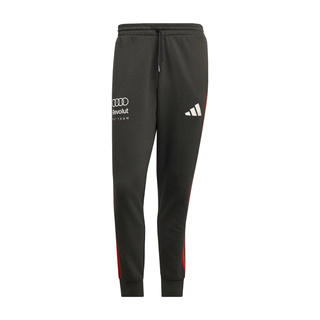 Pantalon Audi Revolut F1 DNA 2026