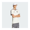 Camiseta Mercedes AMG F1 Silver Arrows Icon 2026