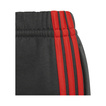 Pantalón infantil Audi Revolut F1 DNA 2026