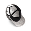 2025 Scuderia Ferrari F1 Graphic Gray Baseball Cap