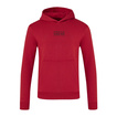 Sweat à capuche Red Bull Racing F1 Graphic Bull 2026 rouge