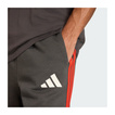Pantalones cortos Audi Revolut F1 DNA 2026