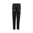 Pantalón infantil Mercedes AMG F1 DNA Logo