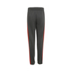 Pantalón infantil Audi Revolut F1 DNA 2026