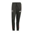 Pantalon homme DNA Audi Revolut F1 2026