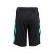 Pantalones cortos infantil Mercedes AMG F1 DNA Logo