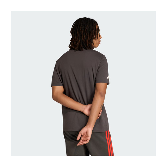 Camiseta Audi Revolut F1 DNA Graphic 2026 gris