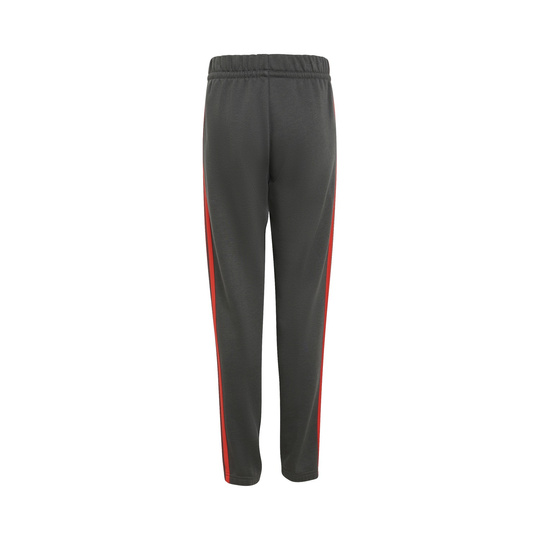 Pantalón infantil Audi Revolut F1 DNA 2026