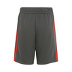 Pantalones cortos infantil Audi Revolut F1 DNA 2026