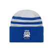 Gorro Team Visa Cash App RB F1