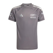 Camiseta Team infantil Audi Revolut F1 2026