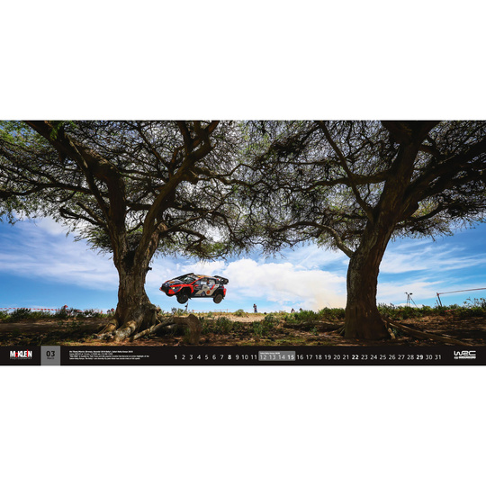 2026 McKlein Calendar - The Wider View