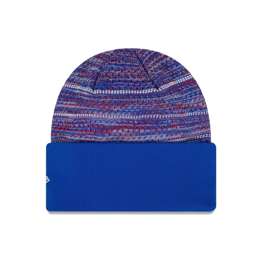 Bonnet d'hiver Team Visa Cash App RB 2024