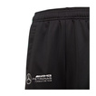 2025 Mercedes AMG Petronas F1 Kids DNA Logo Sweatpants