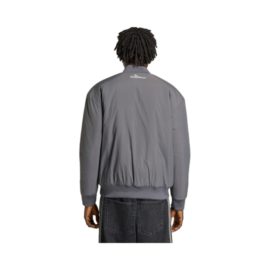 Chaqueta Mercedes AMG F1 Silver Arrows Icon 2026