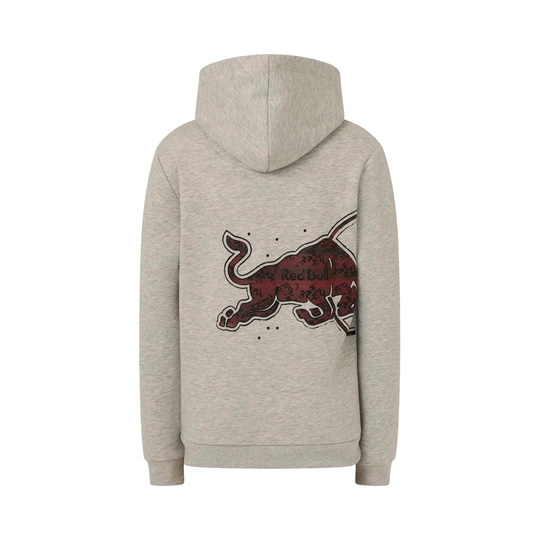 Sweat à capuche Red Bull Racing Graphic Bull 2026 enfant gris