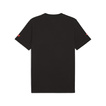 2025 Formula 1 Men's DTS Graphic T-shirt Black