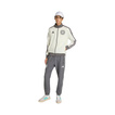 Sudadera con cremallera Mercedes AMG F1 Silver Arrows Icon 2026