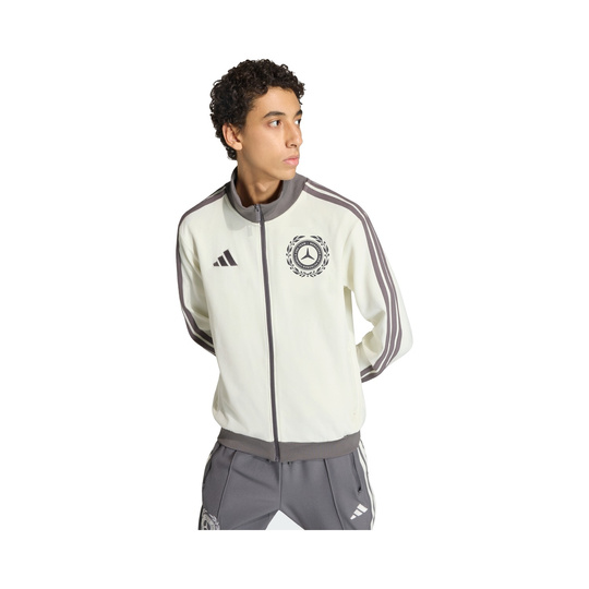 Sudadera con cremallera Mercedes AMG F1 Silver Arrows Icon 2026