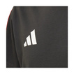 Camiseta infantil Audi Revolut F1 DNA 2026