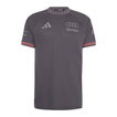 Camiseta Audi Revolut F1 Authentic Team 2026