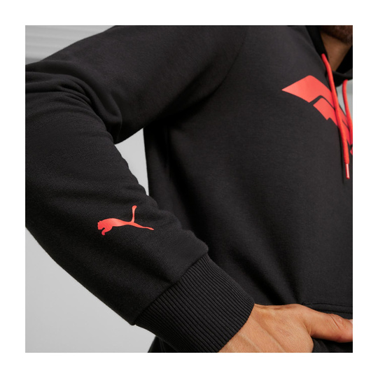 2025 Formula 1 Men's Logo Black Hoodie
