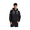 2026 Mercedes AMG F1 Team Hoodie