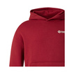 Sudadera con capucha TGR Haas F1 USA Flag 2026