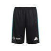 Pantalones cortos infantil Mercedes AMG F1 DNA Logo