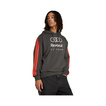 2026 Audi Revolut F1 DNA Hoodie
