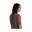 Camiseta Audi Revolut F1 DNA 2026 gris