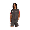 T-shirt Audi Revolut F1 DNA 2026 gris