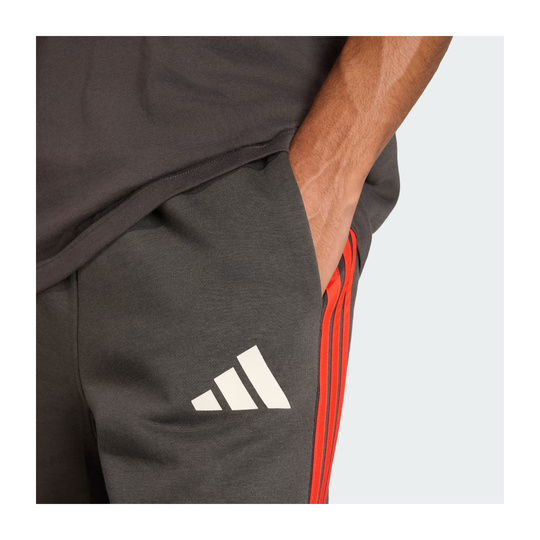 Pantalones cortos Audi Revolut F1 DNA 2026