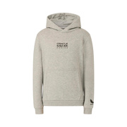 2026 Red Bull Racing F1 Kids Graphic Bull Hoodie Grey