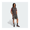 Pantalones cortos Audi Revolut F1 DNA 2026