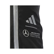 2025 Mercedes AMG Petronas F1 Mens Advanced backpack