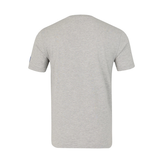Camiseta Red Bull Racing F1 Logo Regular 2026 gris