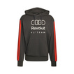 Sudadera con capucha Audi Revolut F1 DNA 2026