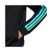 2026 Mercedes AMG F1 DNA Zip Sweatshirt