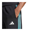 2025 Mercedes AMG Petronas F1 Mens DNA Logo Shorts