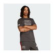 T-shirt Audi Revolut F1 DNA Graphic 2026 gris