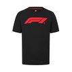 2025 Formula 1 Men's Black T-shirt with Logo