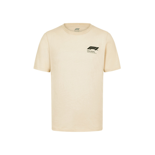 2024 Formula 1 Men's Car Graphic Gray T-shirt